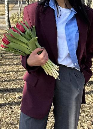 Піджак бордовий