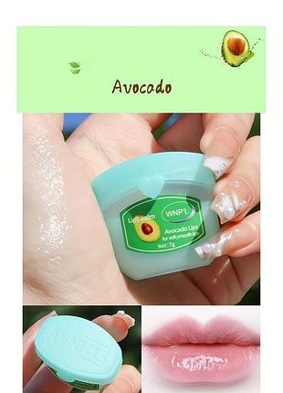 Бальзам для губ wnp'l avocado lips зволожуючий авокадо