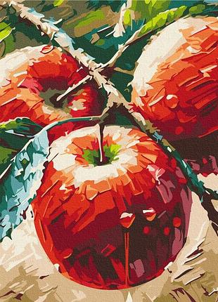 Свежие яблоки © oleg loburak