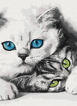 Картина за номерами "муркотики" pbs51695 40×50 см