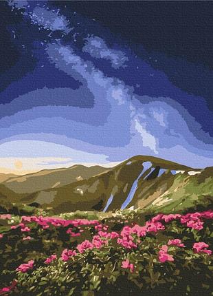Картина за номерами "чорногора © roksolana baran" bs53753l 48×60 см