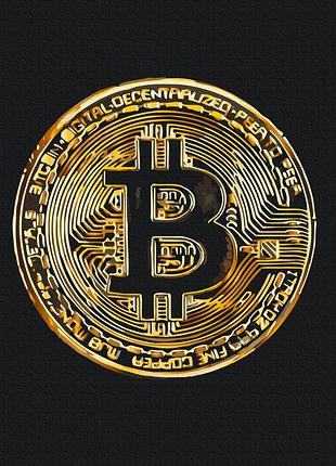 Картина по номерам "биткоин" bs53975 40×50 см