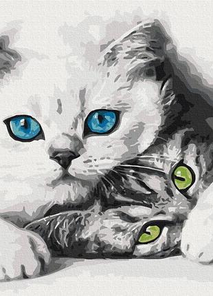 Картина за номерами "муркотики" bs51695 40×50 см