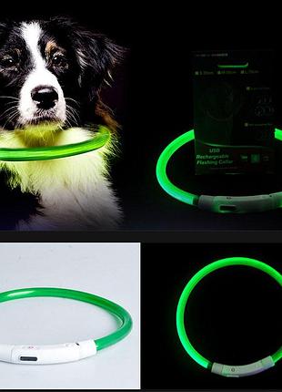 Светодиодный ошейник для собак usb с тремя режимами подсветки. влагостойкий led ошейник размер s 35 см