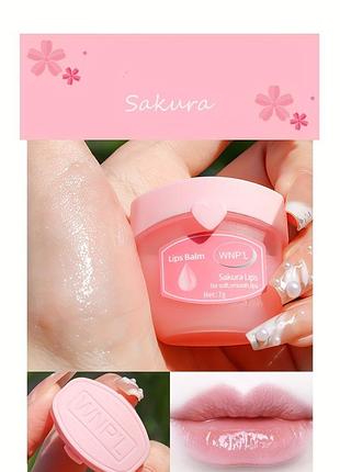 Бальзам для губ wnp'l sakura lips увлажняющий сакура