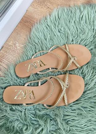 Шльопанці жіночі zara