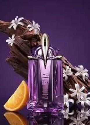Dossier thierry mugler - alien eau de parfum