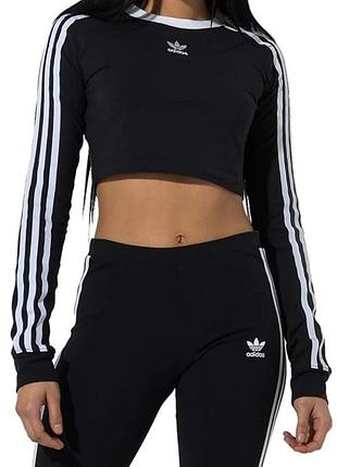 Жіночий вкорочений лонгслів adidas
