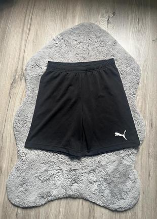 Puma шорти чорні базові дихаючі классні