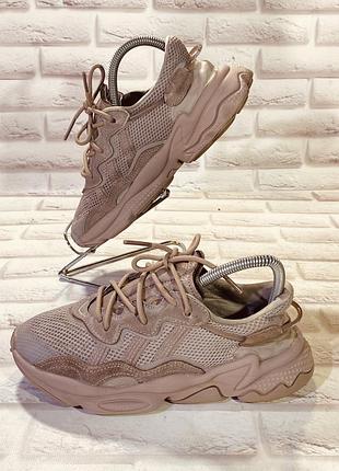 Кросівки adidas