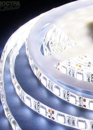 Лента диодная 12v 25см белая smd (5050) гибкая / полиуретан покрытие "econom"