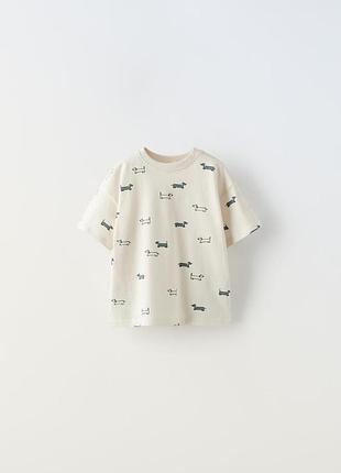 Футболка реглан зара zara
