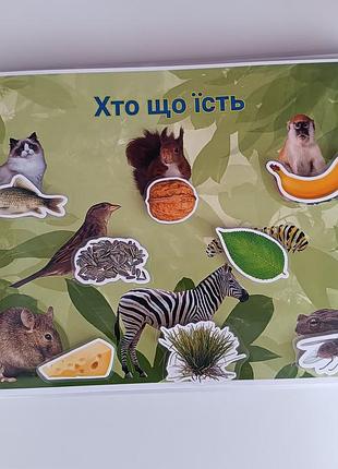 Книга на липучках 7