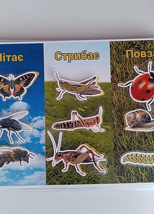 Книга на липучках 8
