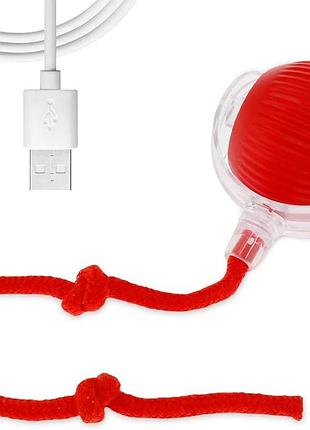 Інтерактивна іграшка для кота автоматичний м’ячик usb з режимами руху | для котів і кошенят | б/у