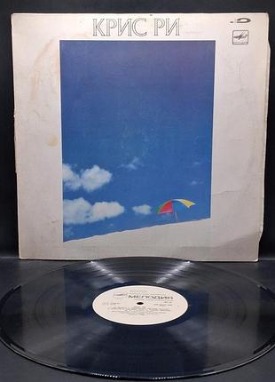 Chris rea - on the beach мелодия /платівка /вініл /vinyl /vintage