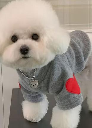 Кофта худи свитшот для домашних животных небольших пород собак omg l красный art6802