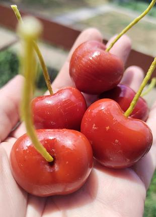 Бенто-свечи 🍒, цена за набор из 9  шт