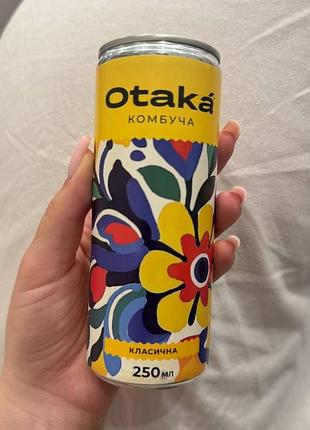 Продам комбучу отака