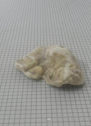 Шкатулка сувенир пепельница из ракушки статуэтка сувенир декор пепельница из ракушки ракушки