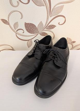 Туфлі шкіря чоловічі ecco lisbon cap toe, 44