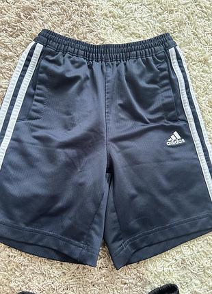 Шорти adidas