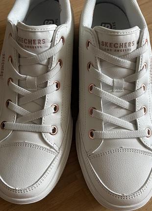 Кеди, кросівки skechers