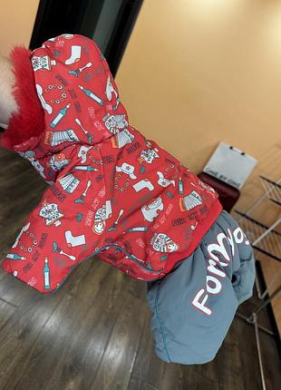 Фірмовий зимовий теплющий комбез  formydog