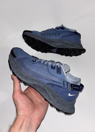 Кроссовки nike pegasus trail 2 gtx