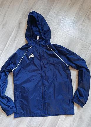 Ветровка, дождевик