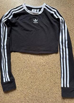 Лонгслив adidas originals cropped