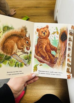 Книга у лісі 2