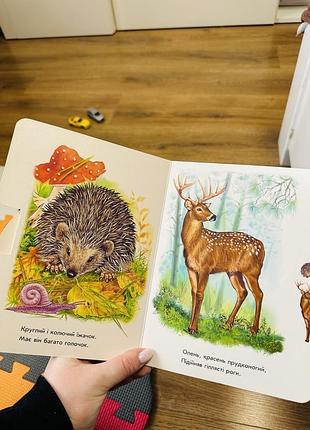 Книга у лісі 5