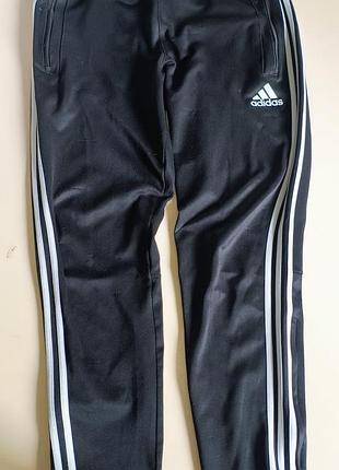 Спортивные штаны adidas