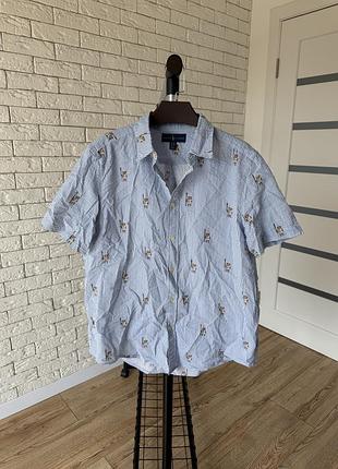 Сорочка polo ralph lauren classic fit striped bear shirt оригінал