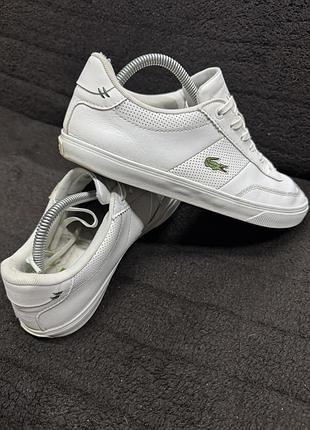 Кеди lacoste