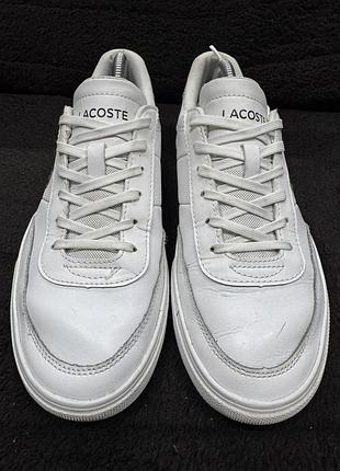 Кеди lacoste 3