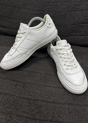 Кеди lacoste 4