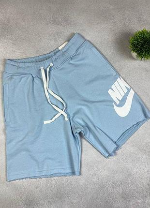Чоловічі шорти nike