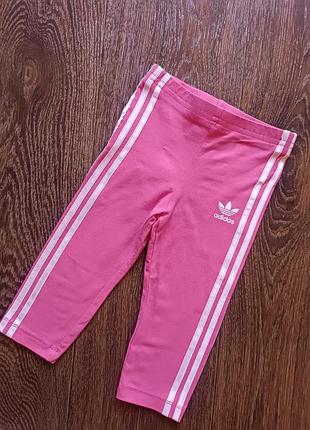 Лосини adidas