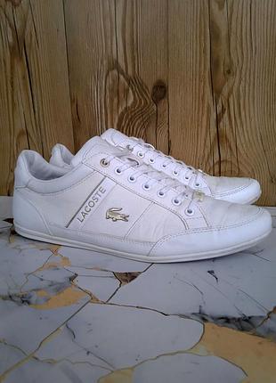 Натуральні шкіряні чоловічі кеди, білі кросівки lacoste, літо, р. 42