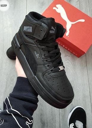 Puma zone