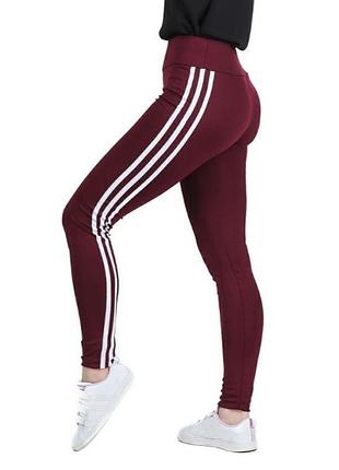 Спортивные женские лосины бордовый 2xl
