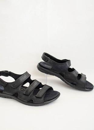 Ecco babett sandal 3-strap жіночі шкіряні сандалії в чорному кольорі оригінал! розмір 38 24 см