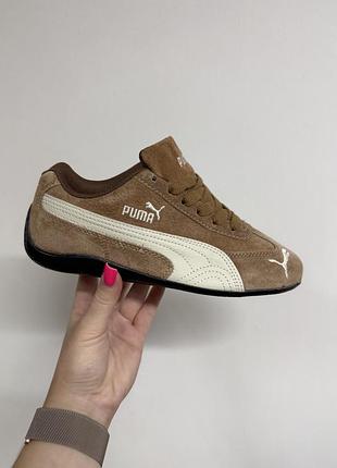 Speedcat brown