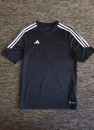 Спортивная футболка adidas указана 15-16 лет