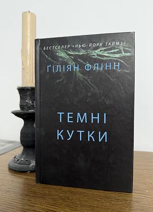 "темні кутки", ґіліян флінн