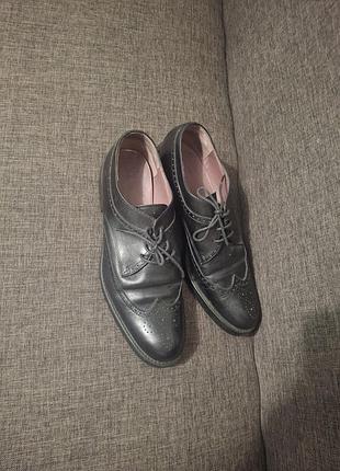 Туфлі  чоловічі studio pollini