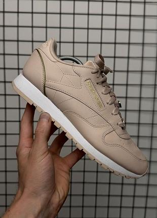 Жіночі шкіряні кросівки reebok classic leather (gz1658) — ексклюзивна серія з делікатним золотим декором