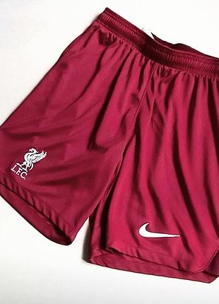 Шорты мужские спортивные nike liverpool